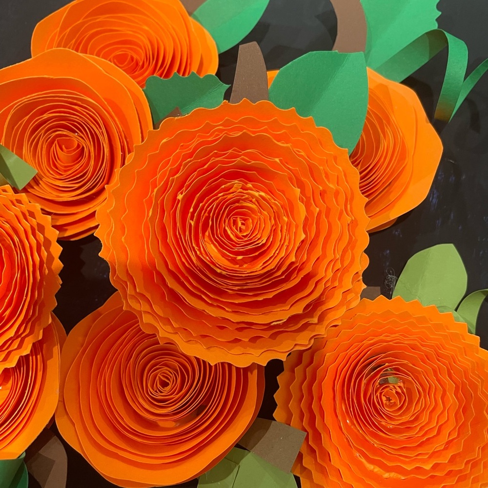 10 Pumpkin patch flowers